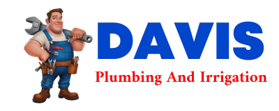 Trusted plumber in CUSSETA